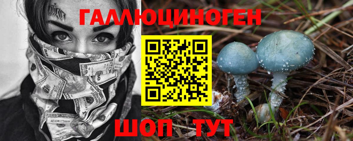 Магадан  Галлюциногенные грибы Psilocybe  Вход с VPN  Галлюциногенные грибы Psilocybine cubensis 